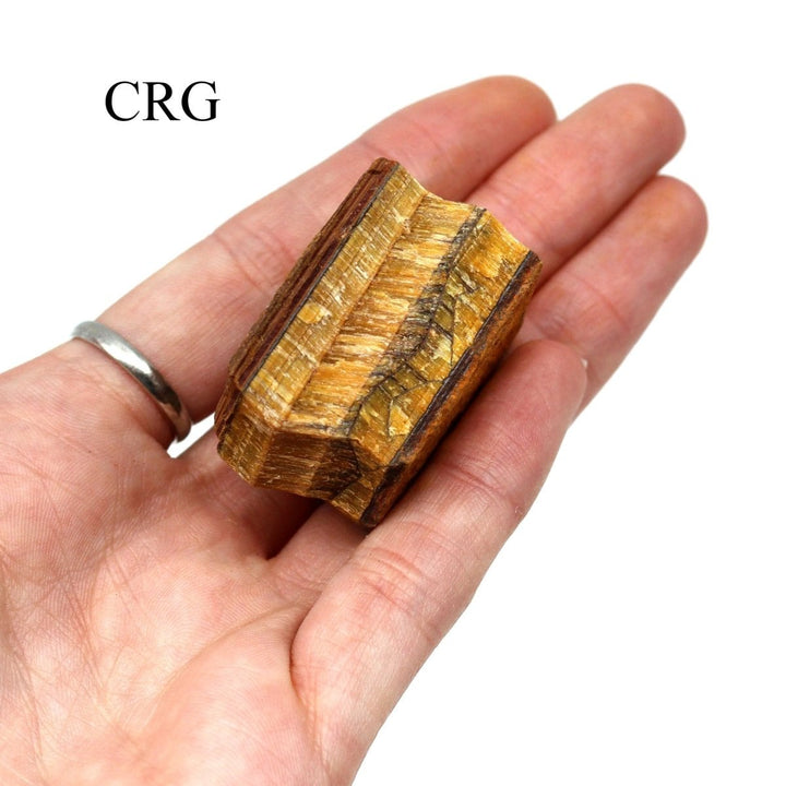 Gold Tiger's Eye Rough (Size 1 to 2 Inches) Bulk Wholesale Raw Crystals Minerals GemstonesCrystal River Gems