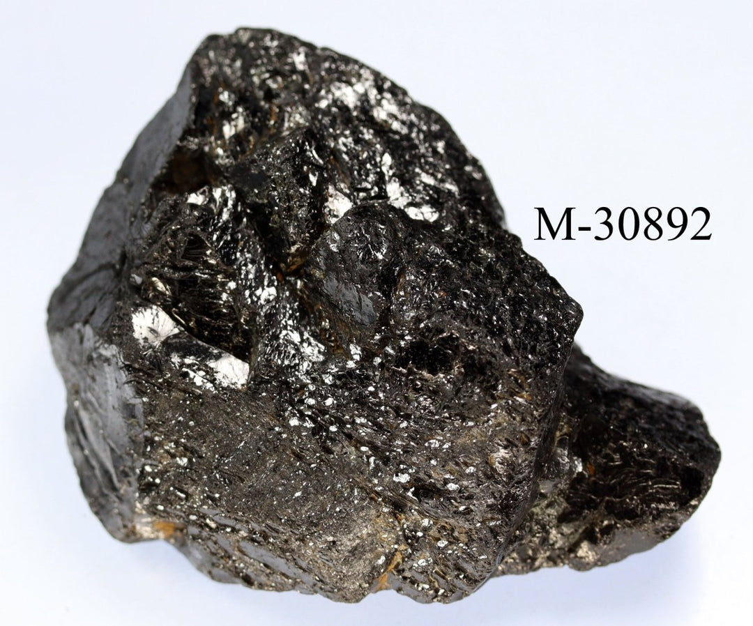 M - 30892 Elite Russian Shungite Crystal 50 gCrystal River Gems