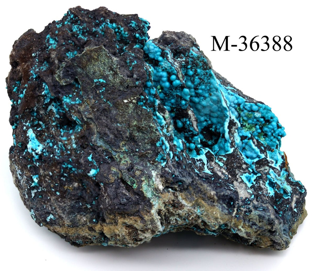 M - 36388 - Chrysocolla Druzy Specimen / 18.5 oz.Crystal River Gems