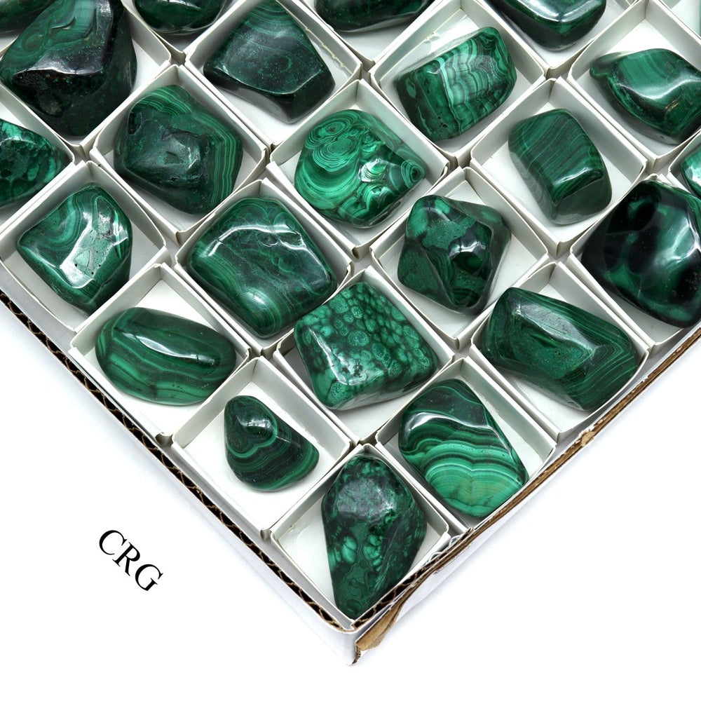 Malachite 24 Piece Flat - 2"Crystal River Gems