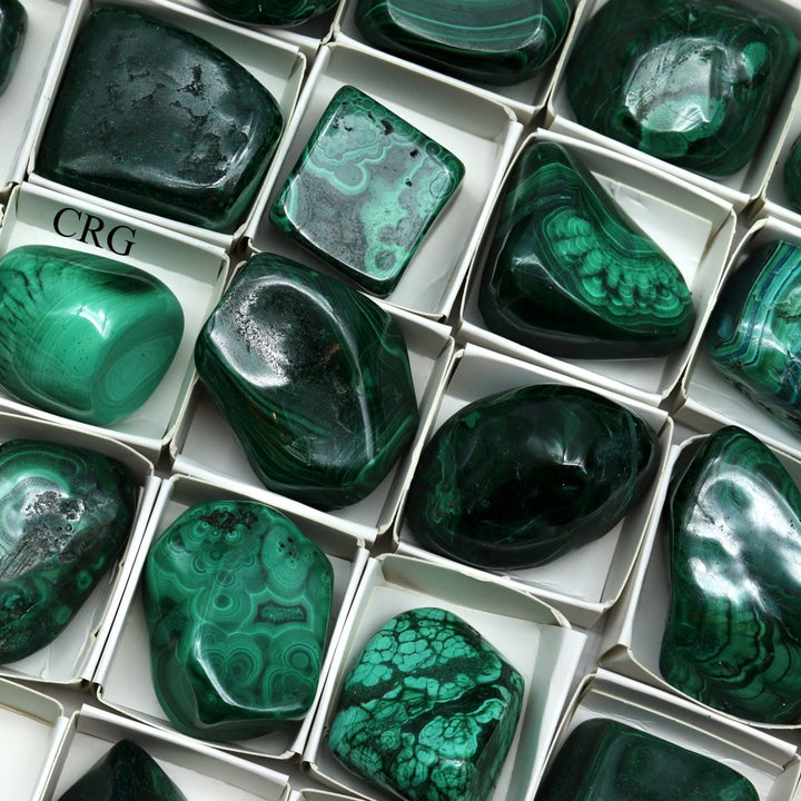 Malachite 24 Piece Flat - 2"Crystal River Gems
