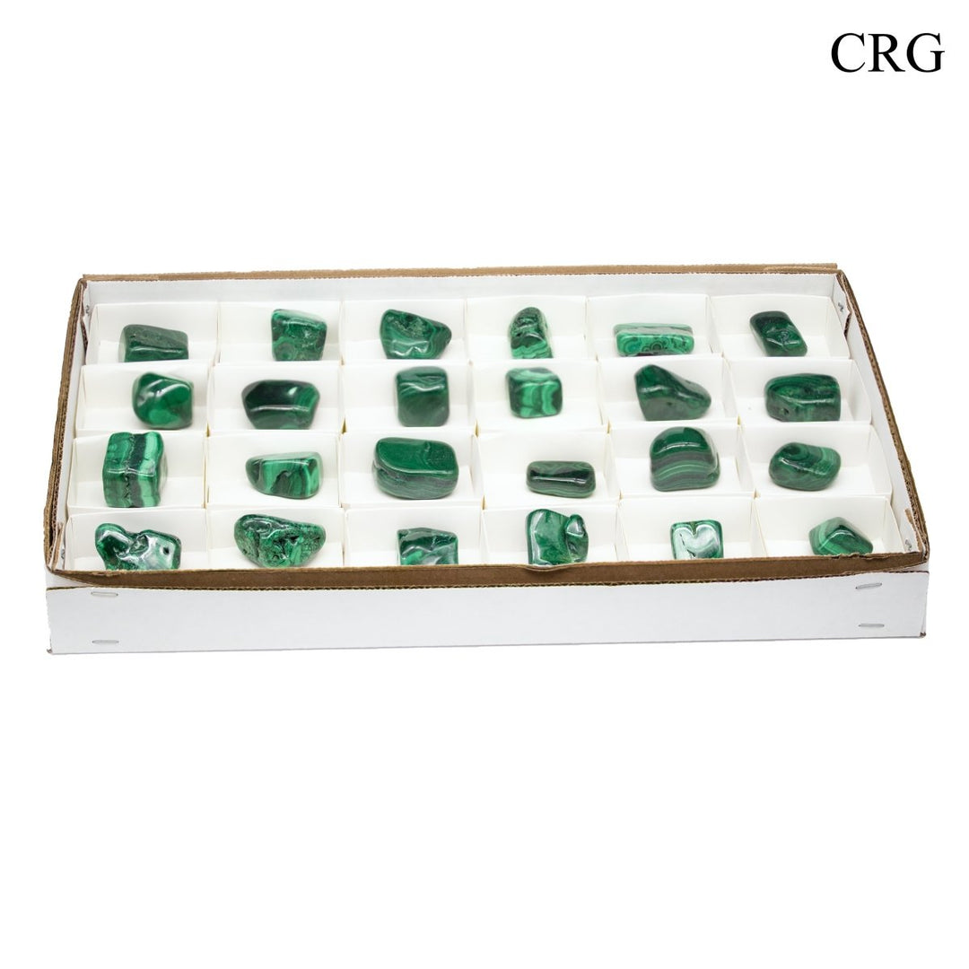 Malachite 24 Piece Flat - 2"Crystal River Gems