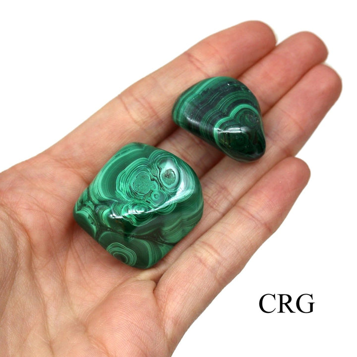 Malachite 24 Piece Flat - 2"Crystal River Gems