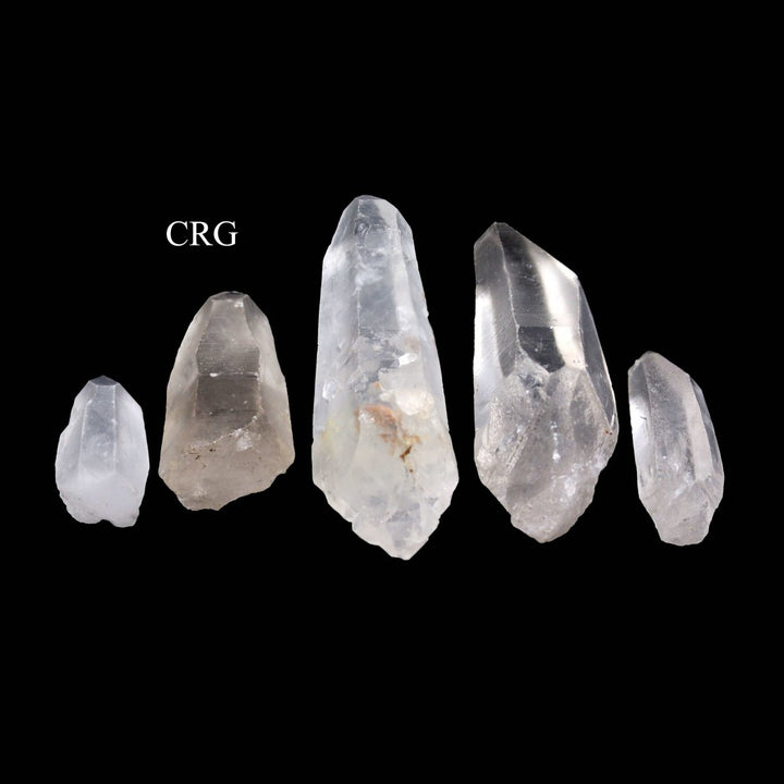 Natural Crystal Quartz Laser Points / B Grade / 0.5 - 2.5" AVG - 1 KILO LOTCrystal River Gems