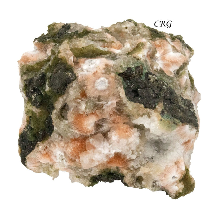 Orange Thomsonite (1 Piece) Size 1.5 Inches Crystal Gemstone MineralCrystal River Gems