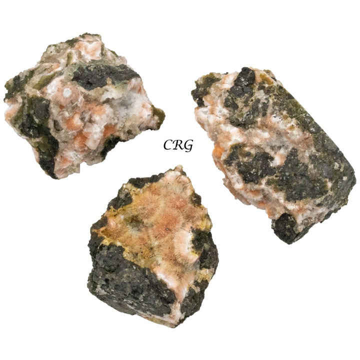 Orange Thomsonite (1 Piece) Size 1.5 Inches Crystal Gemstone MineralCrystal River Gems