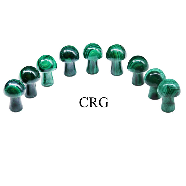 PACK OF 10 - Mini Malachite Mushrooms / .5" - .75" avg.Crystal River Gems