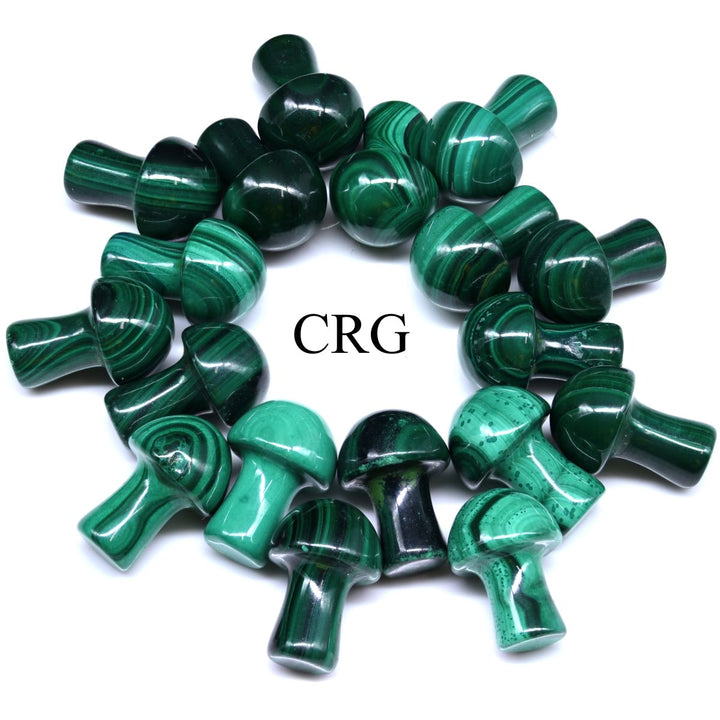 PACK OF 10 - Mini Malachite Mushrooms / .5" - .75" avg.Crystal River Gems