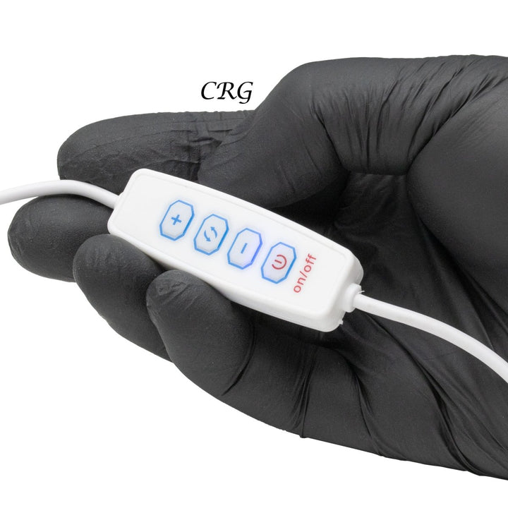 Qty 1 Agate Slice LampCrystal River Gems