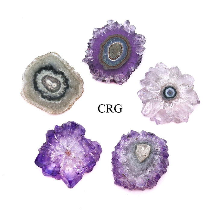QTY 1 - Amethyst Stalactite / 20 - 25 MM AVGCrystal River Gems