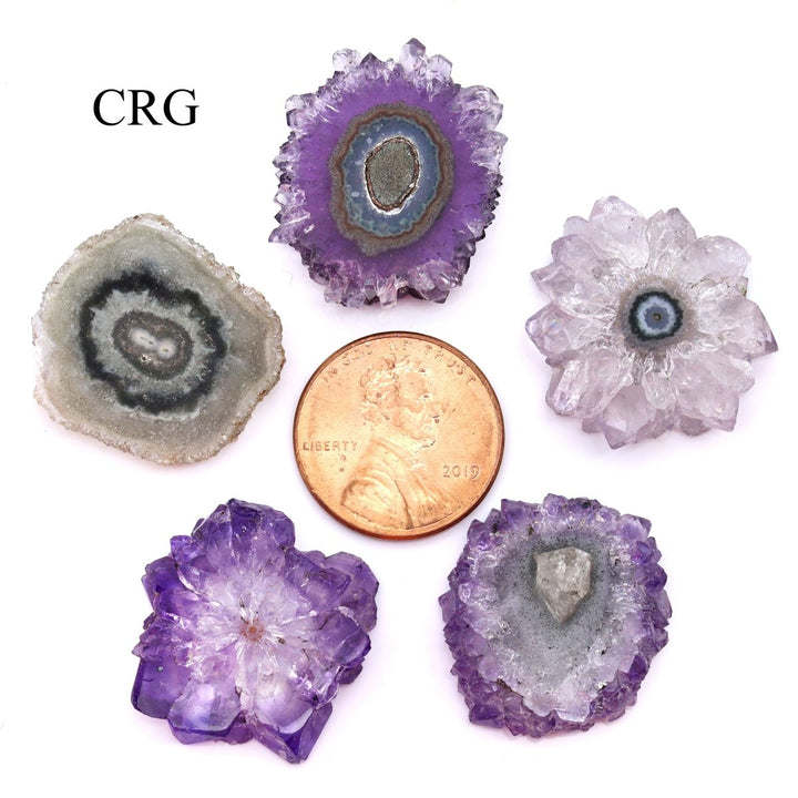 QTY 1 - Amethyst Stalactite / 20 - 25 MM AVGCrystal River Gems
