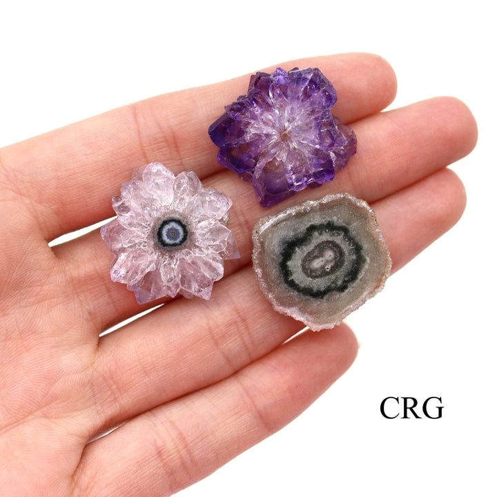 QTY 1 - Amethyst Stalactite / 20 - 25 MM AVGCrystal River Gems
