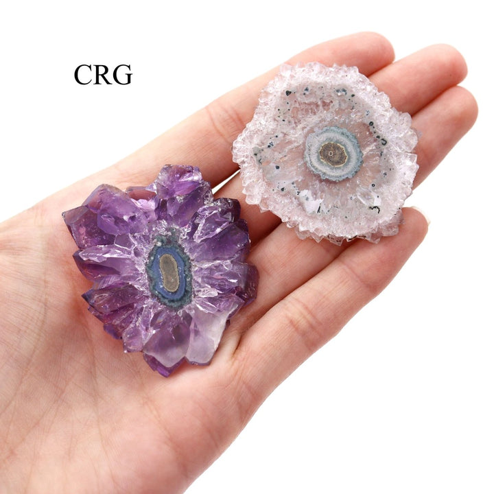 QTY 1 - Amethyst Stalactite / 26 - 50 MM AVGCrystal River Gems