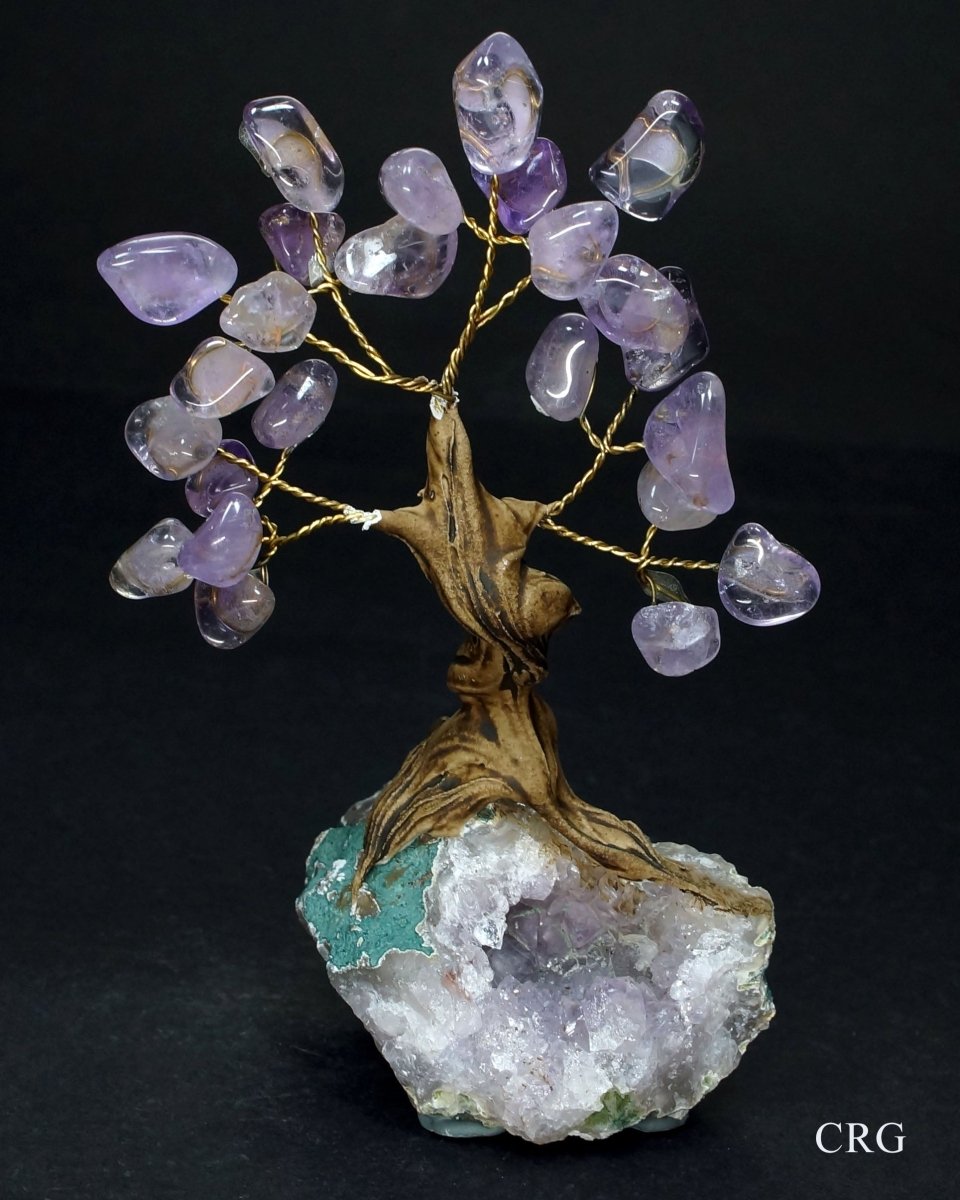 QTY 1 - Brazilian Amethyst Tree w/ Crystal Base / 3" - 5" SM.Crystal River Gems