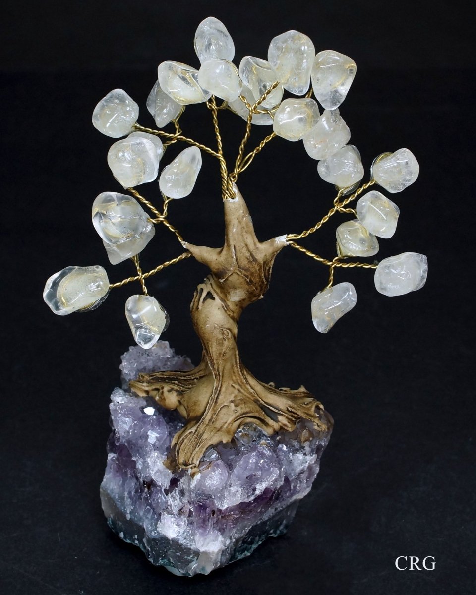 QTY 1 - Brazilian Clear Quartz Tree w/ Crystal Base / 3" - 5" SM.Crystal River Gems