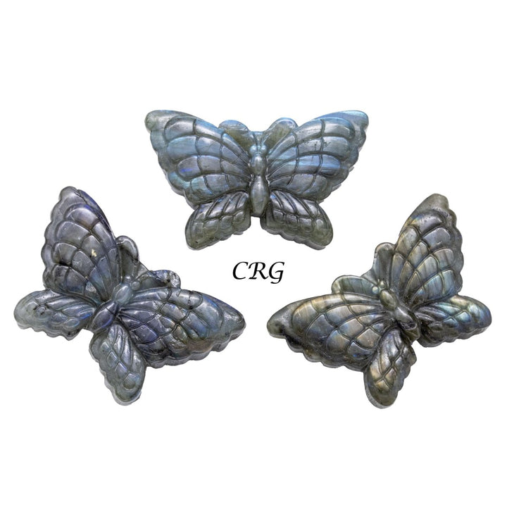 Qty 1 - Butterfly Labradorite Super Flash CarvingCrystal River Gems