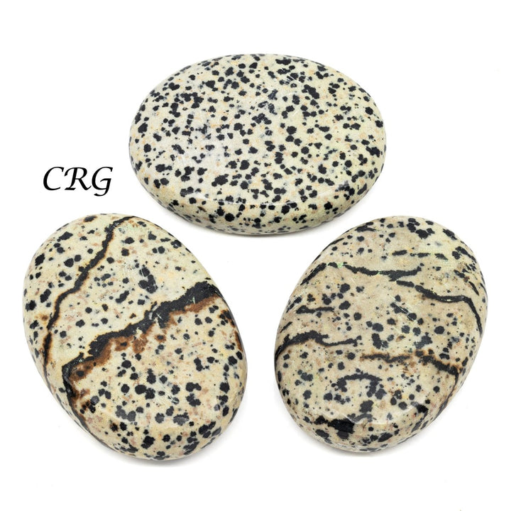 QTY 1 - Dalmatian Jasper Palm Stone / 2" AvgCrystal River Gems