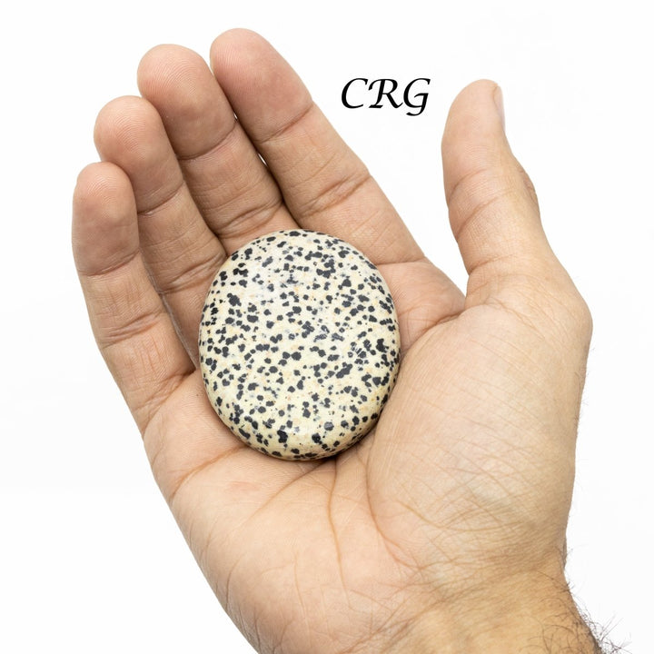 QTY 1 - Dalmatian Jasper Palm Stone / 2" AvgCrystal River Gems