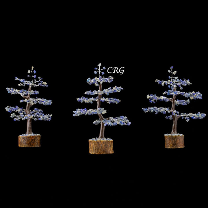 QTY 1 - Lapis 300 Gem Tree w/ Wood Base / Silver WireCrystal River Gems