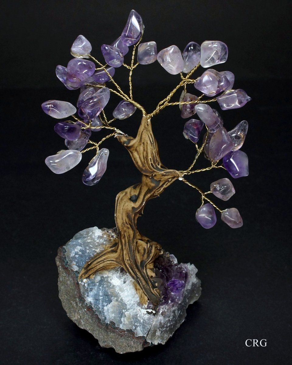 QTY 1 - Medium Brazilian Amethyst Tree w/Crystal Base (4.5" - 5.5")Crystal River Gems