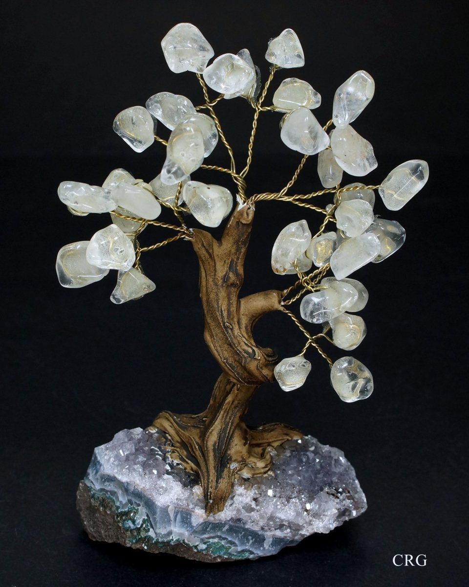 QTY 1 - Medium Brazilian Clear Quartz Tree w/Crystal Base (4.5" - 5.5")Crystal River Gems