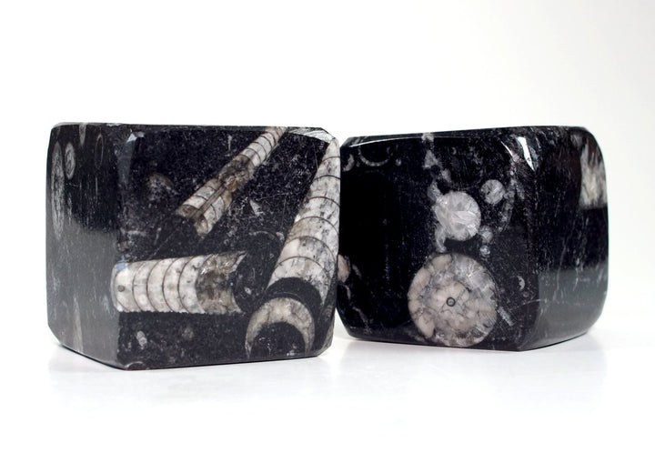 QTY 1 - Orthoceras Fossil Cube 45 - 55 mmCrystal River Gems