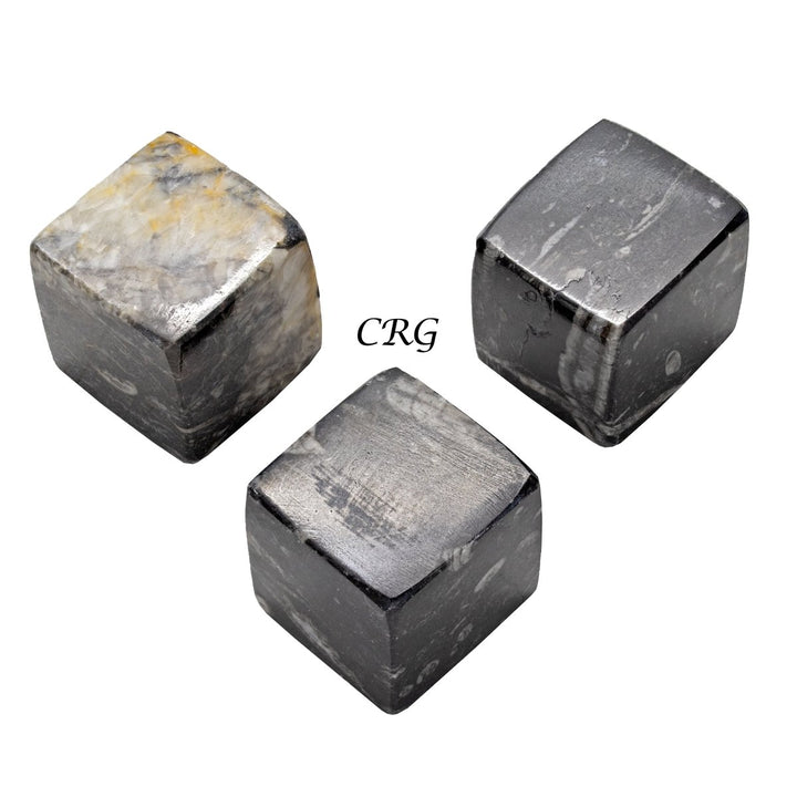 QTY 1 - Orthoceras Fossil Cube 45 - 55 mmCrystal River Gems