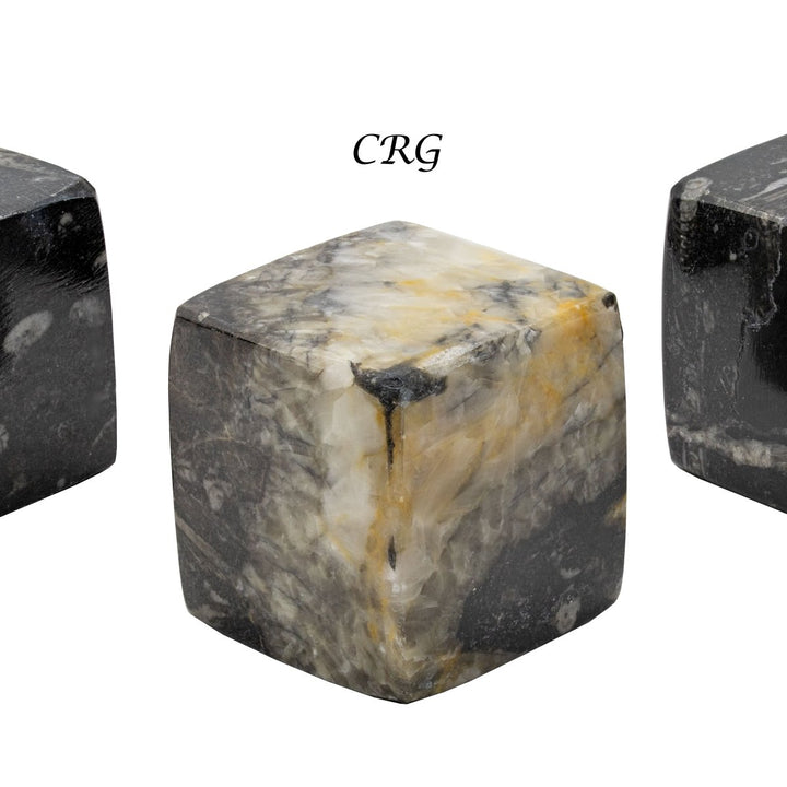 QTY 1 - Orthoceras Fossil Cube 45 - 55 mmCrystal River Gems