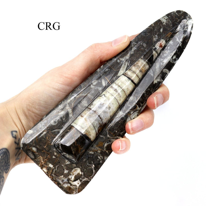 QTY 1 - Orthoceras Fossil Spear Sculpture / 6 - 7" AVGCrystal River Gems