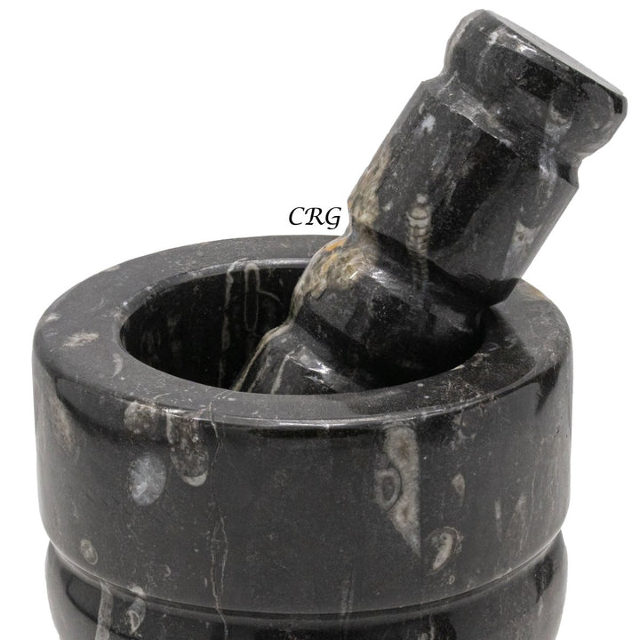 QTY 1 - Orthoceras Fossil Stone Mortar & PestleCrystal River Gems