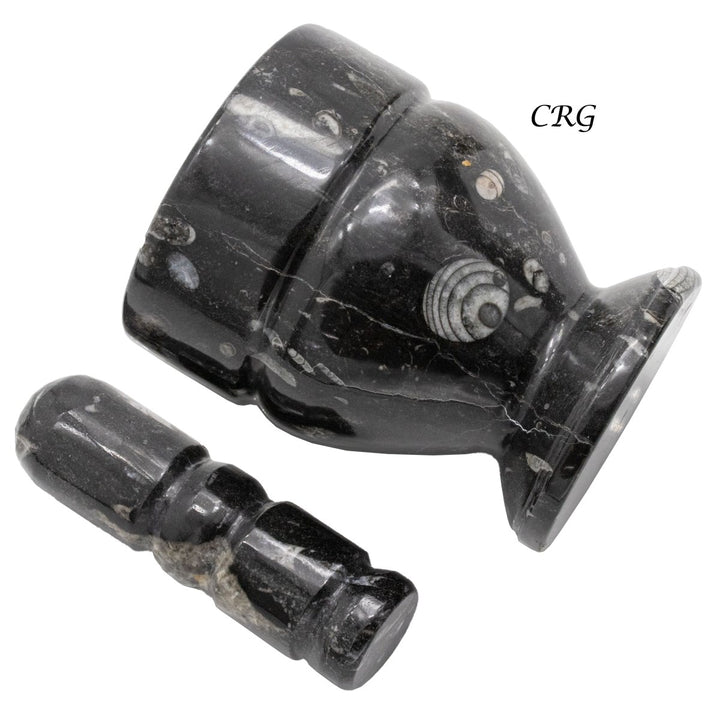 QTY 1 - Orthoceras Fossil Stone Mortar & PestleCrystal River Gems