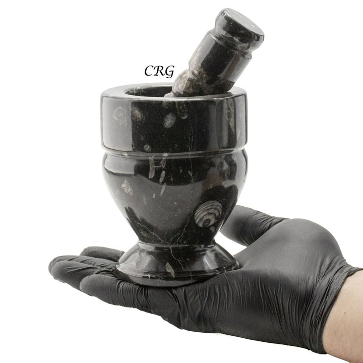 QTY 1 - Orthoceras Fossil Stone Mortar & PestleCrystal River Gems