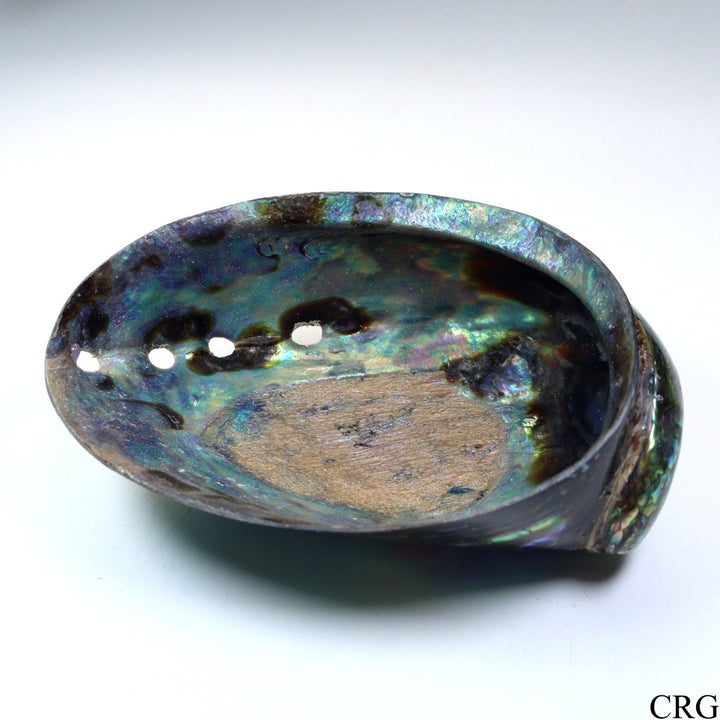 Polished Rainbow Abalone "Paua" Shell Dish - 4.5" - QTY 1Crystal River Gems