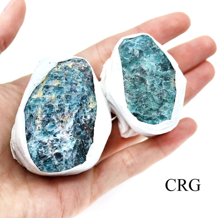 QTY 1 - Rough Apatite Medium Flat / 1 - 2" AVGCrystal River Gems