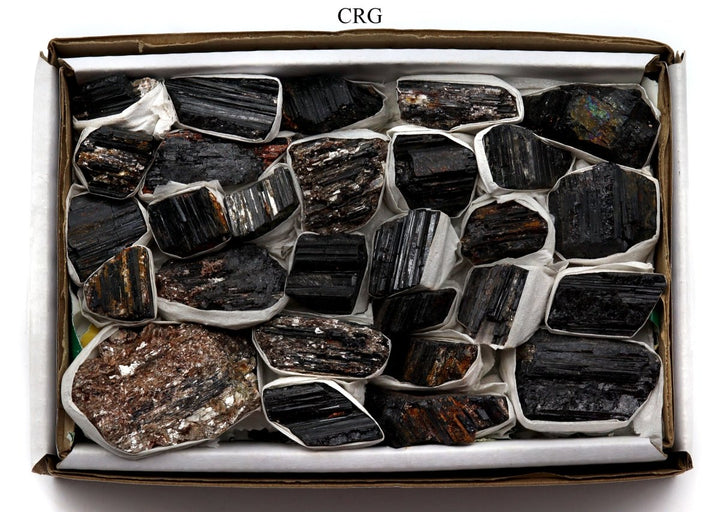 QTY 1 - Rough Black Tourmaline with Mica / WHOLESALE FLATCrystal River Gems