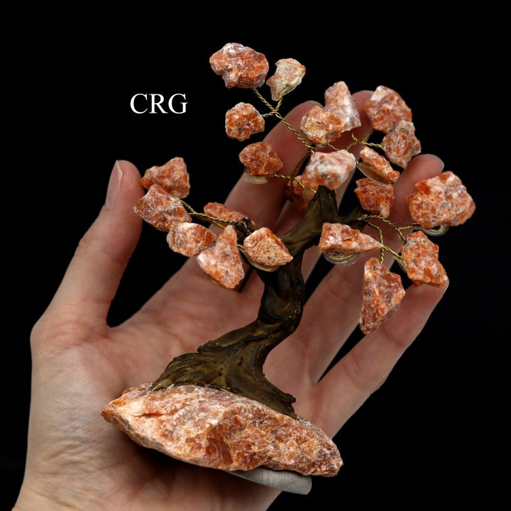 QTY 1 - Rough Orange Calcite Gemstone Tree / 4 - 5" AVGCrystal River Gems