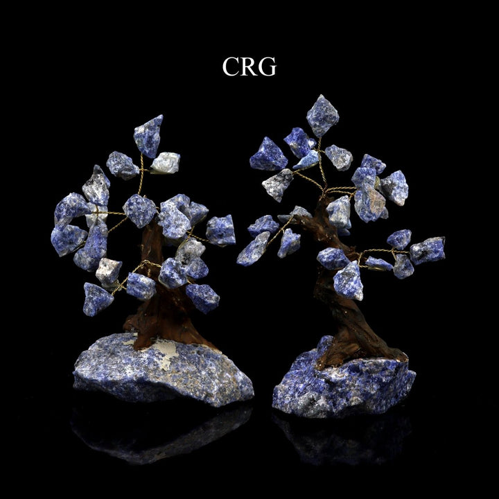 QTY 1 - Rough Sodalite Gemstone Tree / 4 - 5" AVGCrystal River Gems
