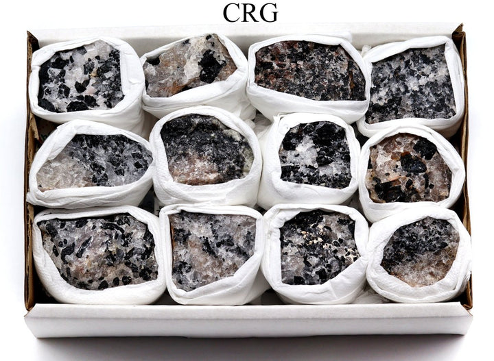 QTY 1 - Rough Tourmalated Quartz Small Flat / 1 - 2.5" AVGCrystal River Gems