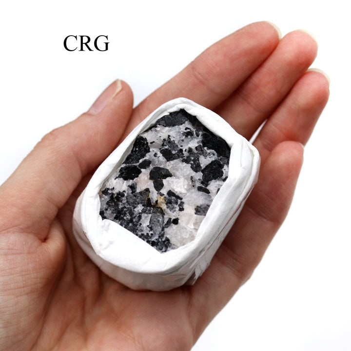 QTY 1 - Rough Tourmalated Quartz Small Flat / 1 - 2.5" AVGCrystal River Gems