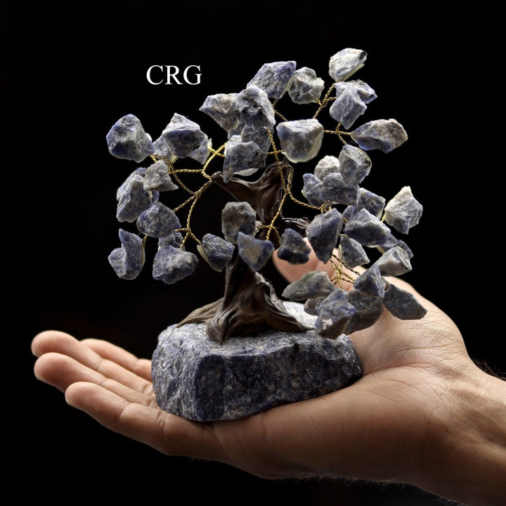 QTY 1 - Sodalite Bonsai Tree On Rough Rock Base / 4 - 5" AVGCrystal River Gems