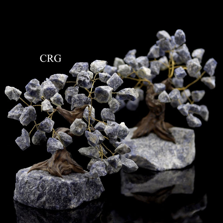 QTY 1 - Sodalite Bonsai Tree On Rough Rock Base / 4 - 5" AVGCrystal River Gems