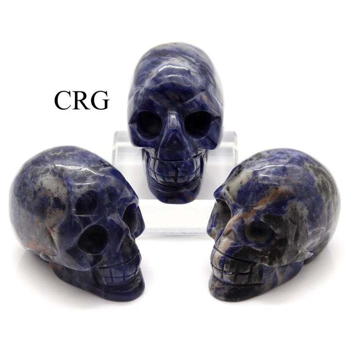 QTY 1 - Sodalite Gemstone Skull / 3" AVGCrystal River Gems