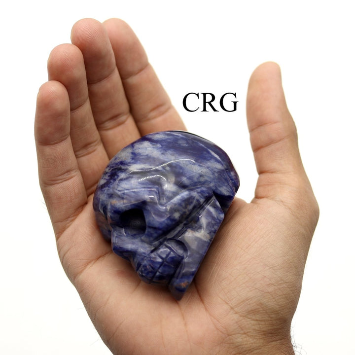 QTY 1 - Sodalite Gemstone Skull / 3" AVGCrystal River Gems