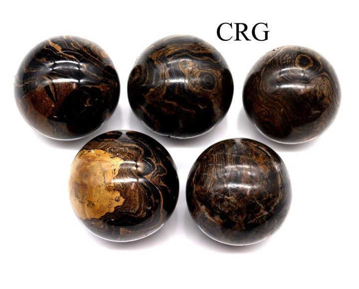 QTY 1 - Stromatolite Sphere / 35 - 45mm AVGCrystal River Gems