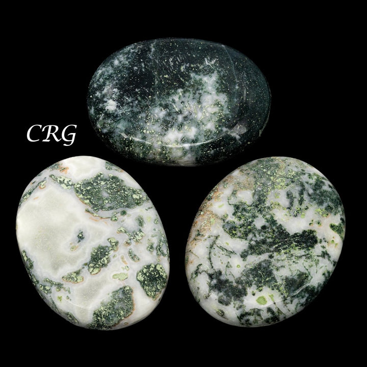 QTY 1 - Tree Agate Palm Stone / 2" AvgCrystal River Gems