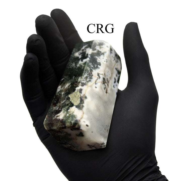 QTY 1 - Tree Agate Point from India / 3 - 5" AvgCrystal River Gems