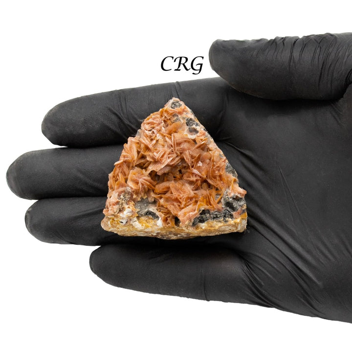 Raw Cerussite on Matrix / 20 - 50mm AVG - 1 FLATCrystal River Gems