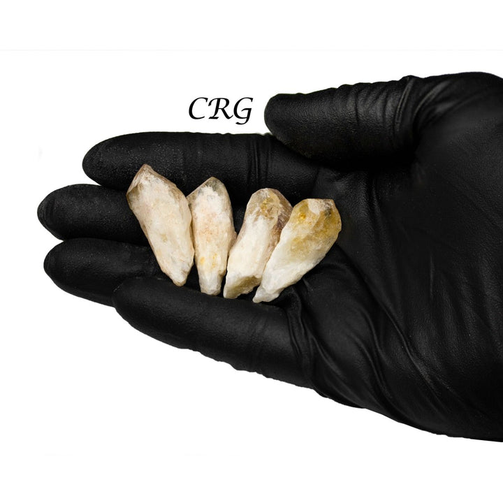 Raw Citrine Points / 1 - 2.5" AVG - 1 KILO LOTCrystal River Gems