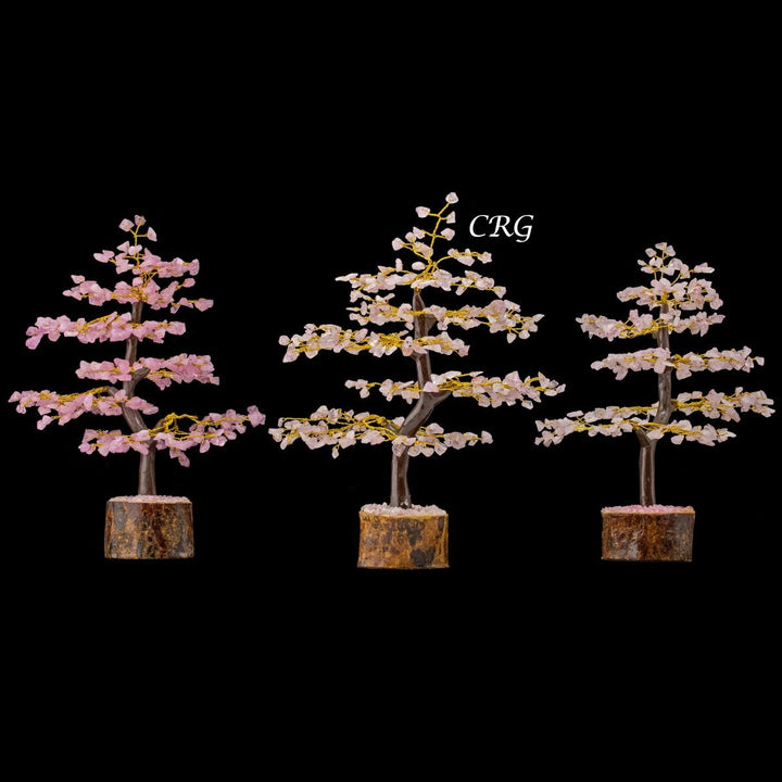 Rose Quartz 300 Chip Tree with Wood Base and Gold Wire (1 Piece) Size 9 Inches Crystal Gemstone TreeCrystal River Gems