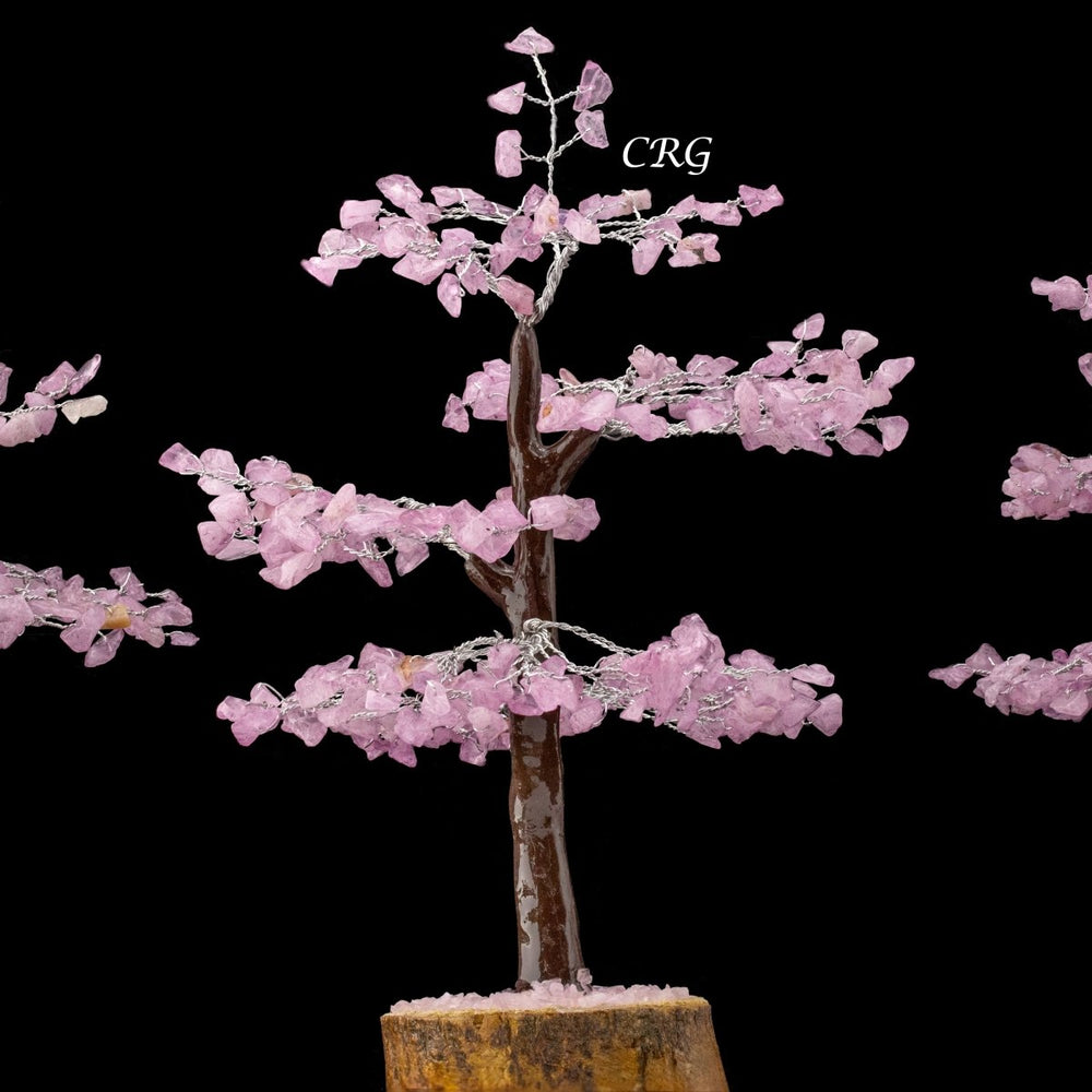 Rose Quartz 300 Chip Tree with Wood Base and Silver Wire (1 Piece) Size 9 Inches Crystal Gemstone TreeCrystal River Gems